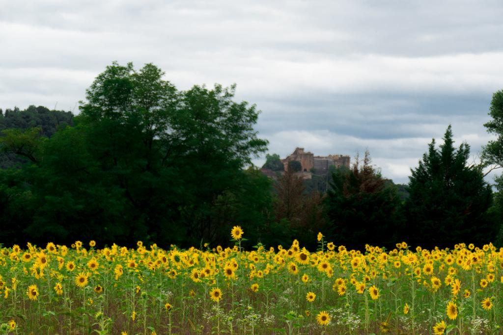 Domaine De Borie Chambres D'Hotes Bretenoux Zewnętrze zdjęcie